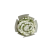 65. Kebab Box